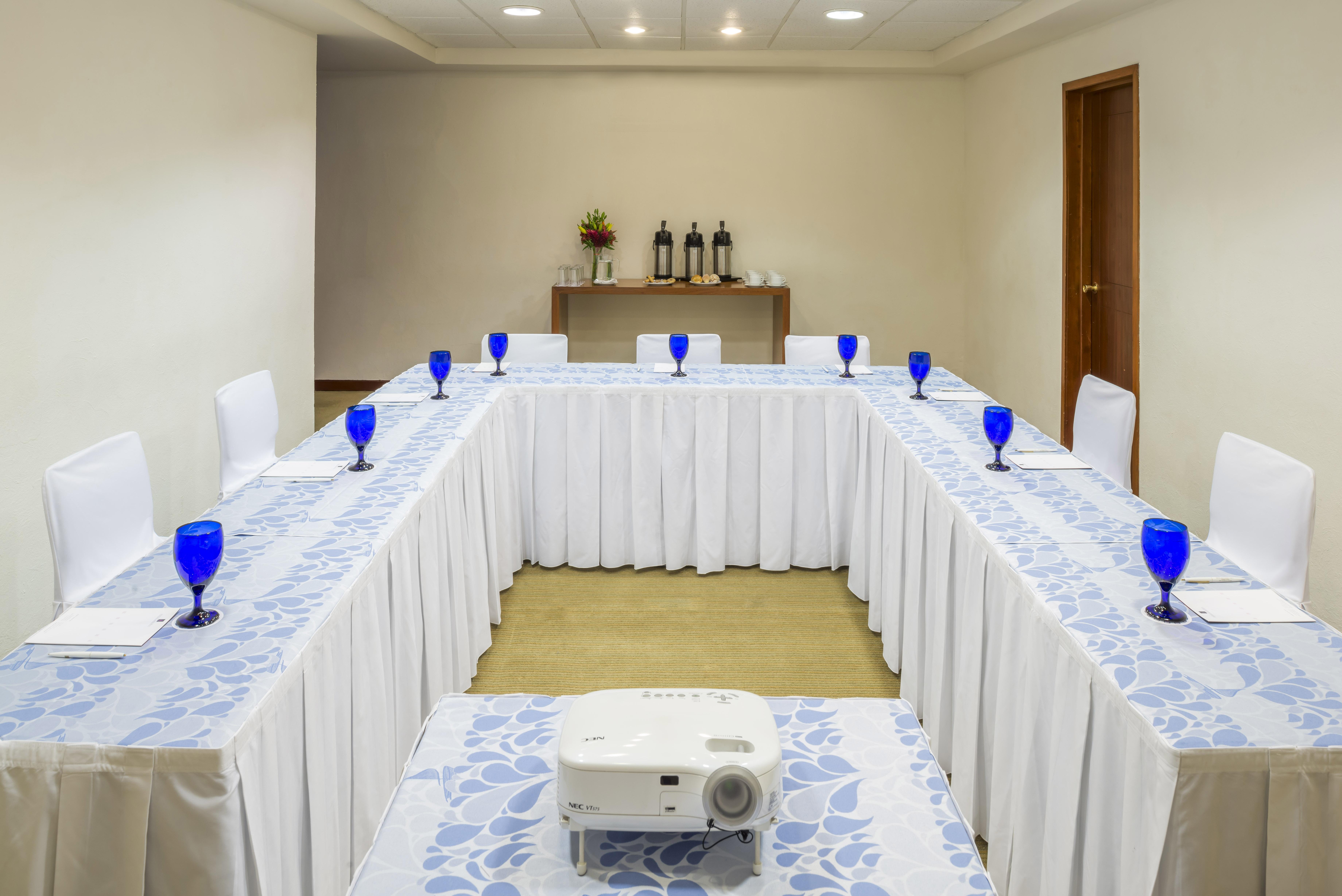 Camino Real Guadalajara 5*