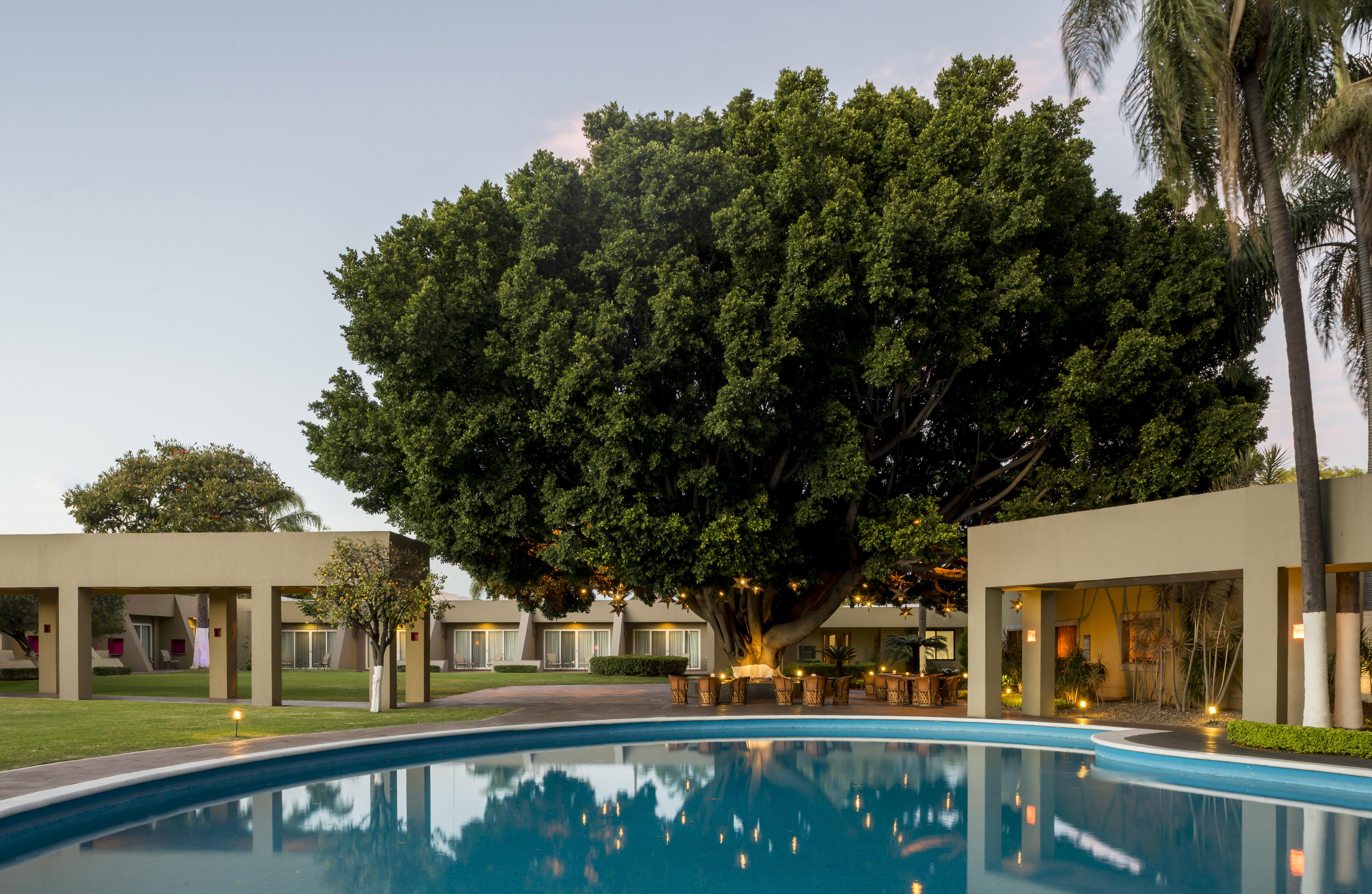 Hotel Camino Real Guadalajara 5*